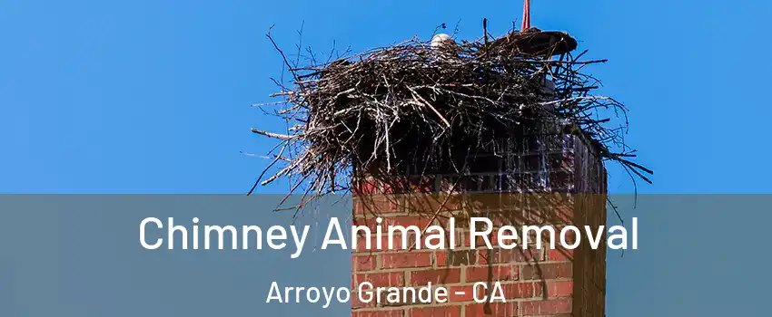  Chimney Animal Removal Arroyo Grande - CA
