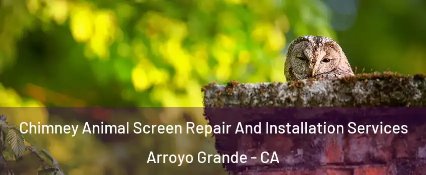  Chimney Animal Screen Repair And Installation Services Arroyo Grande - CA